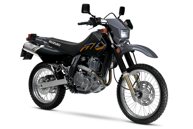 Suzuki - DualSport